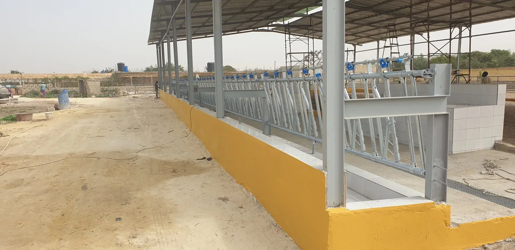 Muret d'alimentation jaune avec barrière galvanisée et auge carrelée en phase de finition
