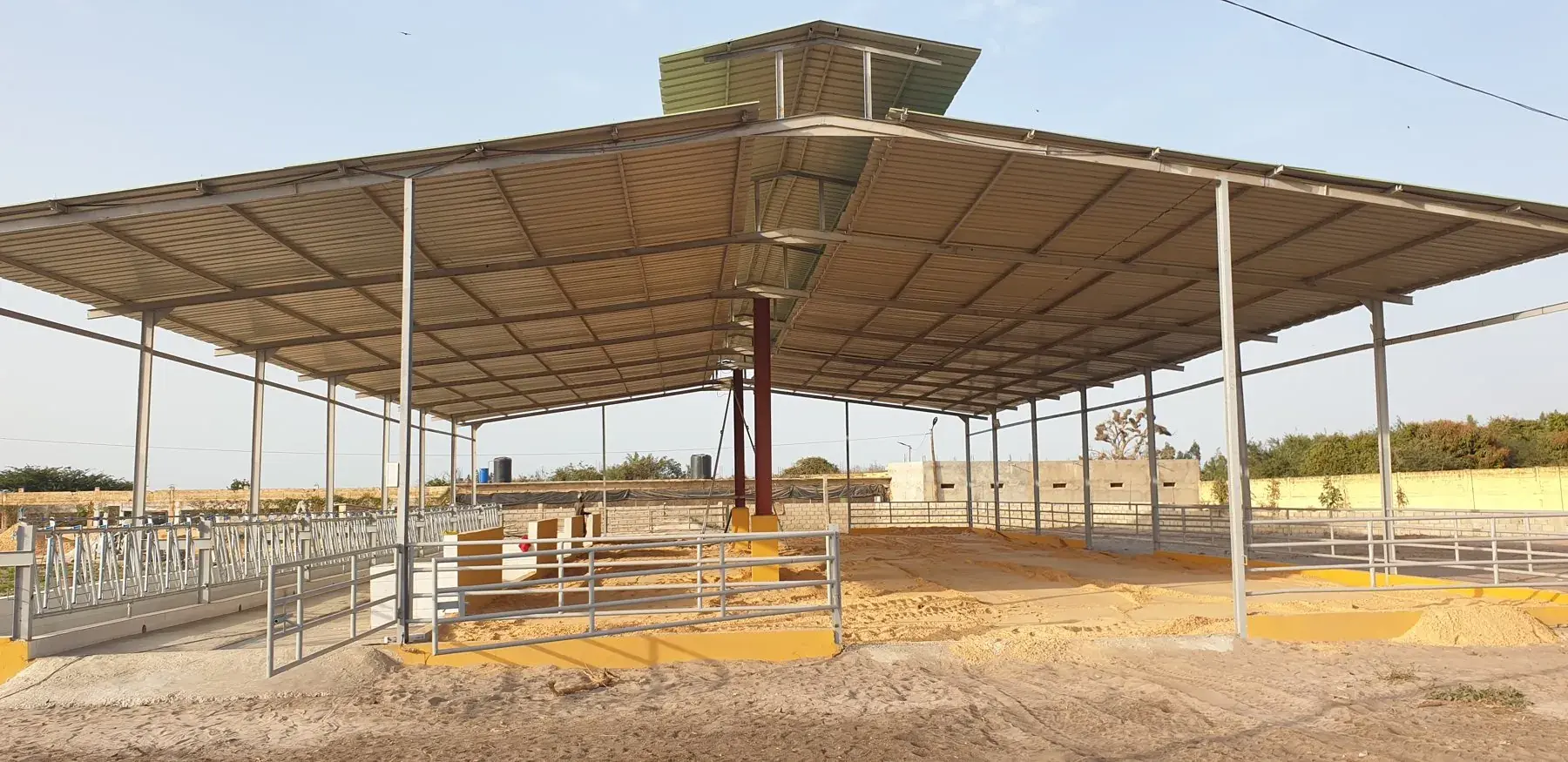 Abri d'élevage bovin terminé : structure acier, litière de sable et barrière d'alimentation